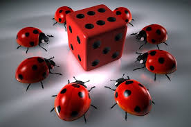 Magnet Casino